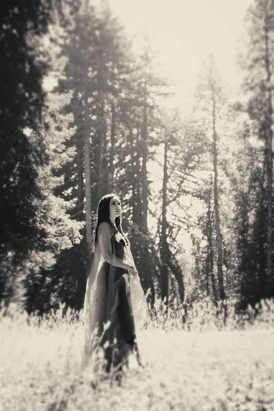 Black and white fine art portrait of a young woman with long dark hair in a long dark dressed draped with a piece of tulle fabric. She is standing in a field surrounded by trees with the sun behind her.