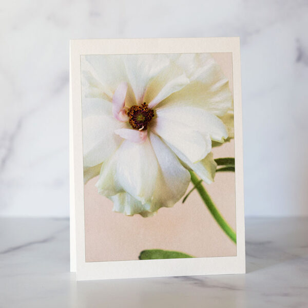 Photo of Butterfly Ranunculus Greeting Card
