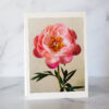 Photo by In Full Bloom Pink Peony Greeting Card