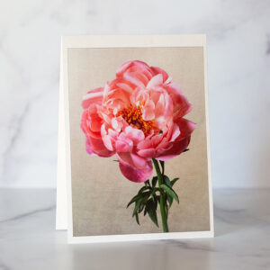 Photo of Pink Peony and Honeybee Greeting Card
