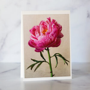 Photo of Single Pink Peony Greeting Card