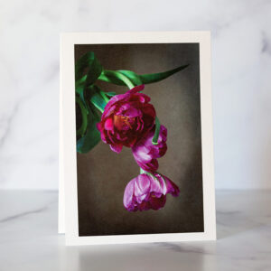 Photo of Three Tulips Greeting Card