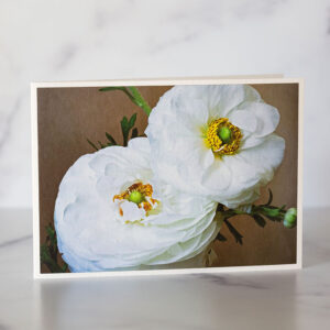 Photo of White Ranunculus Greeting Card