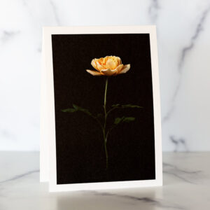 Photo of Single Golden Rose Greeting Card by Melissa Ann Bagley