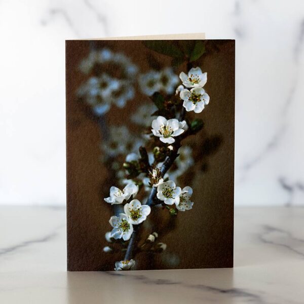 Photo of Spring Blossoms Mini Card by Melissa Ann Bagley