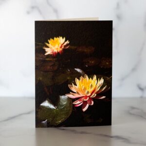 Photo of Water Lily Mini Cards by Melissa Ann Bagley