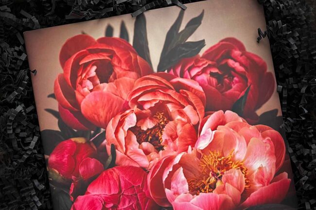 Photograph of Fine Art Ceramic Tile with Pink Peonies on it by Melissa Bagley