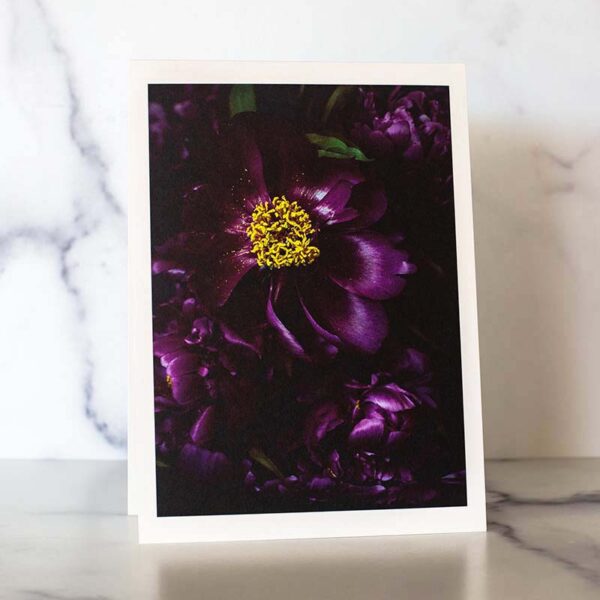 Photograph of a greeting card with purple peonies on it.