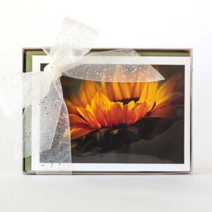 Photo of boxed set of eight 5" x 7" greeting cards tied with a ribbon