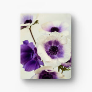 Pictured: The front cover a notebook. The cover is in full color and features purple and white anemones.