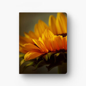 Pictured: The front cover a notebook. The cover is in full color and features a close up photo of a yellow sunflower.