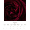 2023 Melissa Ann Bagley Wall Calendar_August