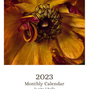 2023 Melissa Ann Bagley Wall Calendar_Cover