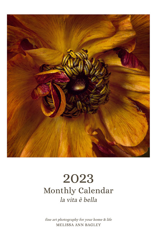 2023 Melissa Ann Bagley Wall Calendar_Cover