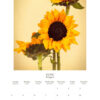 2023 Melissa Ann Bagley Wall Calendar_June