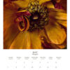 2023 Melissa Ann Bagley Wall Calendar_May