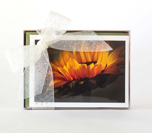 Eight Card Greeting Card Boxed Set