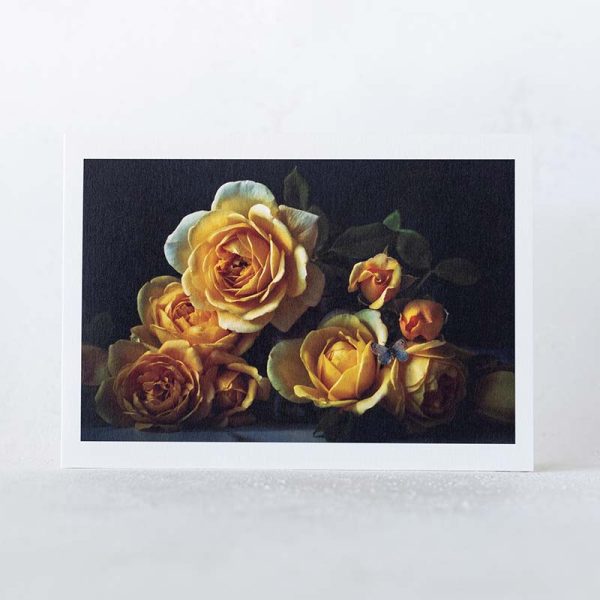 Blue Butterfly and Yellow Roses Greeting Card