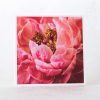 Peony Close Up Greeting Card