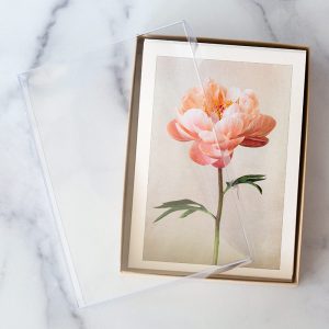 Five Card Greeting Card Boxed Set