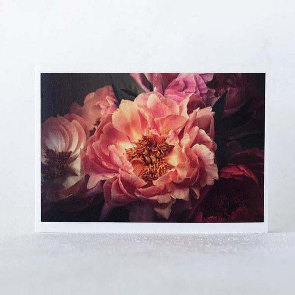 Golden Pink Peonies Greeting Card