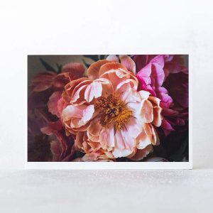 Light Pink Peonies Greeting Card