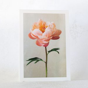 Peachy Pink Peony Greeting Card