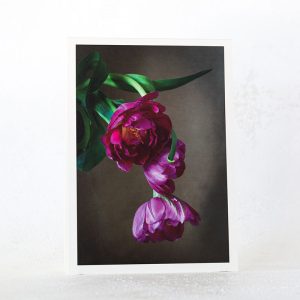 Pink Tulips Greeting Card