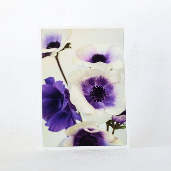 Purple Anemones Greeting Card