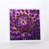 Purple Dahlia Greeting Card
