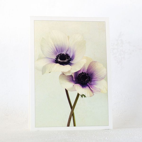 Two Anemones Greeting Card