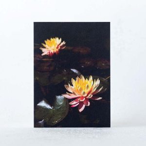 Waterlilies Mini Card