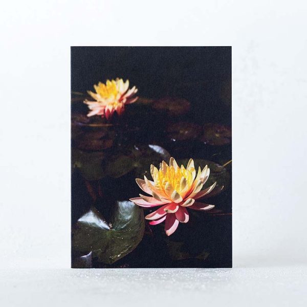Waterlilies Mini Card