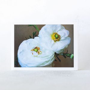 White Ranunculus Greeting Card