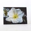 White Tulips Mini Greeting Card