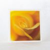 Yellow Rose Greeting Card