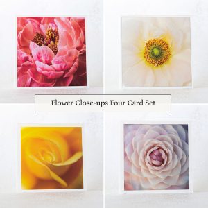 Flower Closeups Four Greeting Card Set
