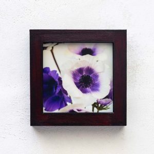 Fiori di Anemone_Melissa Bagley