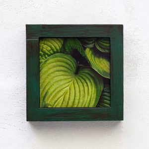 Hosta Details v2_Melissa Bagley