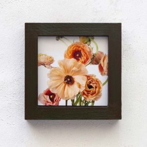 Peach Pink Simplicity_Melissa Bagley