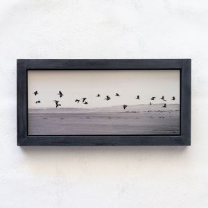 Pelicans in Flight_Melissa Bagley