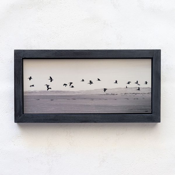 Pelicans in Flight_Melissa Bagley