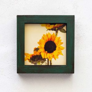 Pure Sunshine v2_Melissa Bagley
