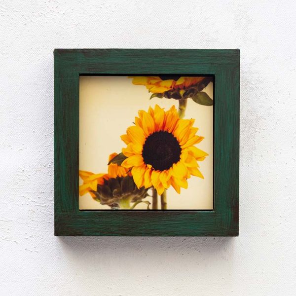Pure Sunshine v2_Melissa Bagley