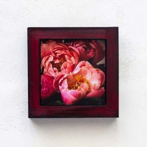 Springtime Peonies_Melissa Bagley