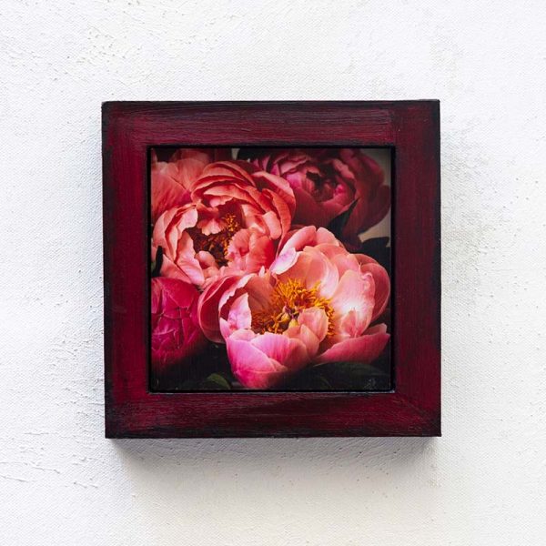Springtime Peonies_Melissa Bagley