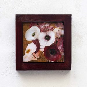 The Poppies v1_Melissa Bagley