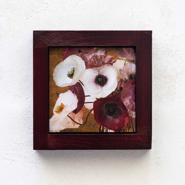 The Poppies v1_Melissa Bagley