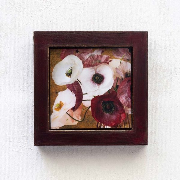 The Poppies v2_Melissa Bagley