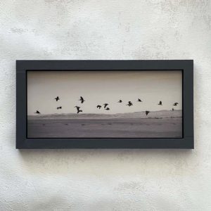 Pelicans in Flight Miniature